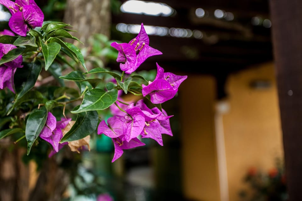Costa do Sol By MN hoteis Hotel in Armacao dos Buzios