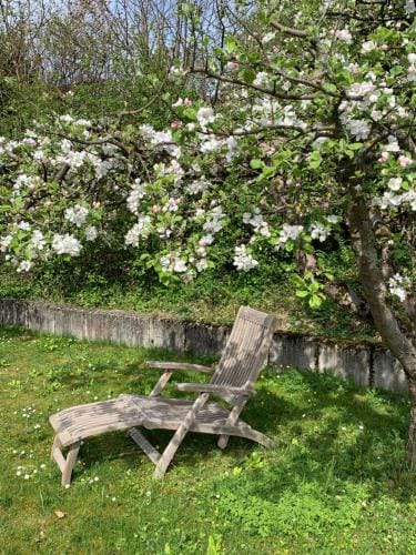 B&B Biel-Brugg Hotel in Canton of Bern (Region)