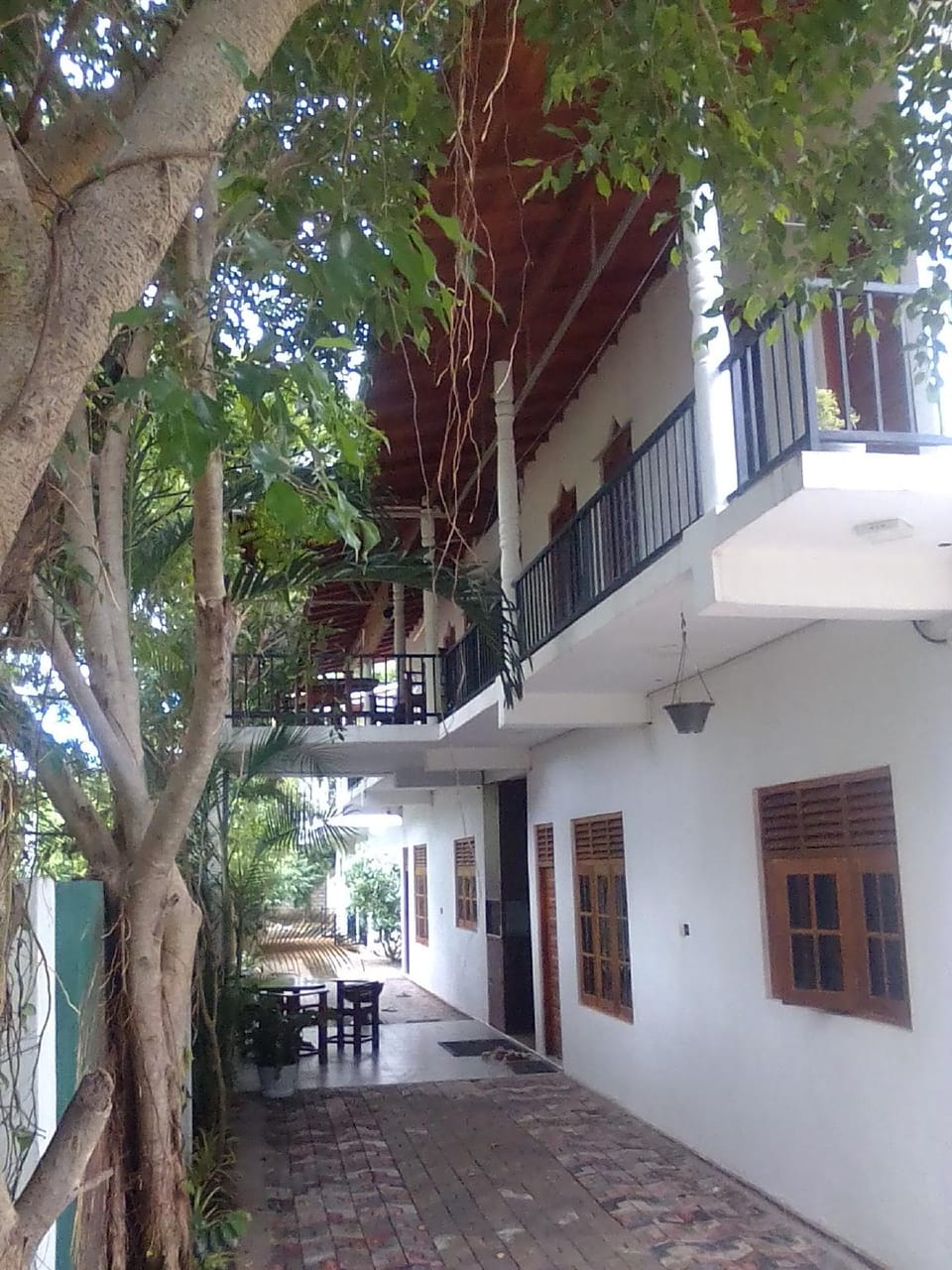 Exterior view