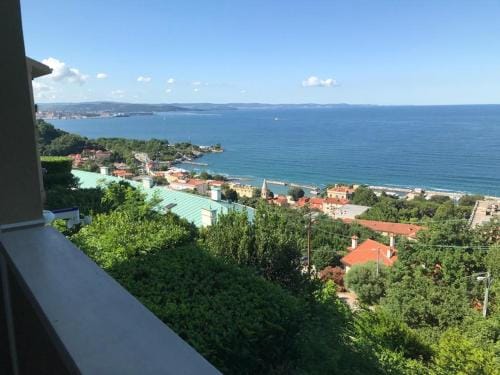 Trieste Sea Life Hotel in Trieste