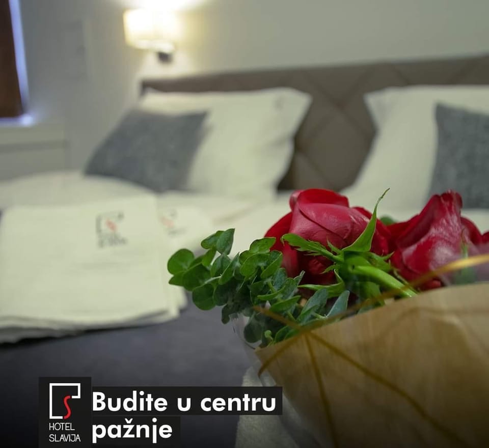 Hotel Slavija Hotel in Federation of Bosnia and Herzegovina