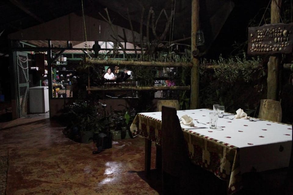 Isla Violin Eco-Lodge Lodge in Puntarenas Province