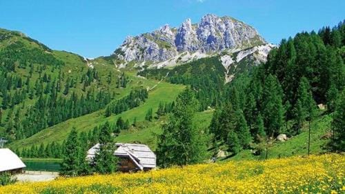 Hotel Tarvis Hotel in Tarvisio
