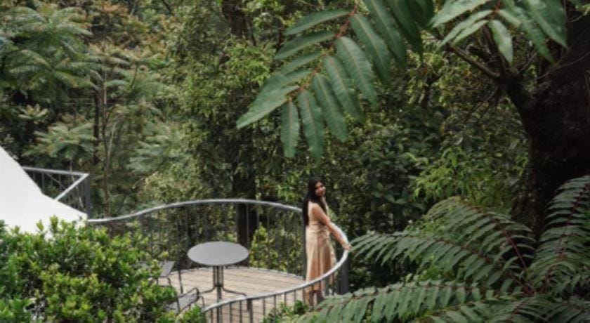 Willmount Geodesic Domes Vagamon Hotel in Kerala