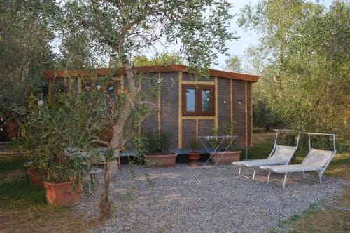 Villa Orta - Agriturismo con cucina Vegan, Plant-based Farmhouse Hotel in Tuscany