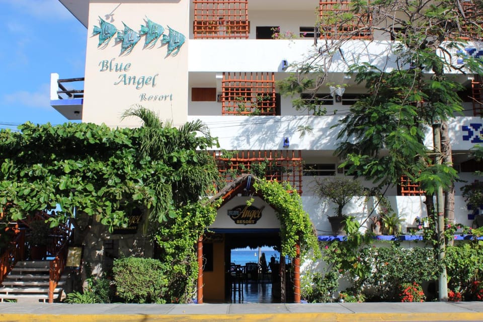Blue Angel Resort Hotel in State of Quintana Roo