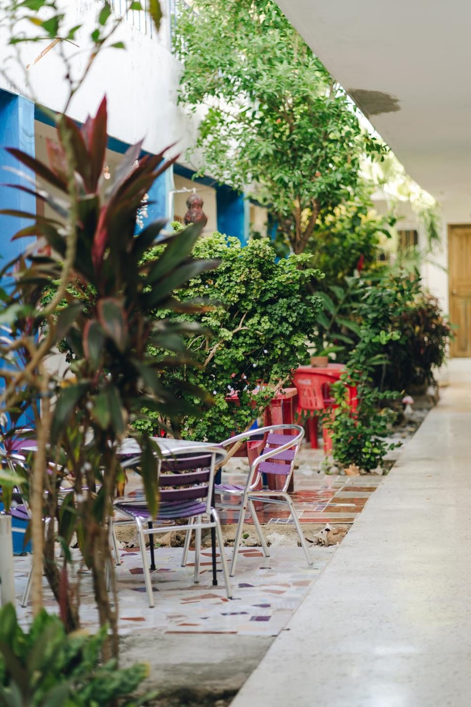 Posada Edem Hotel in San Miguel de Cozumel