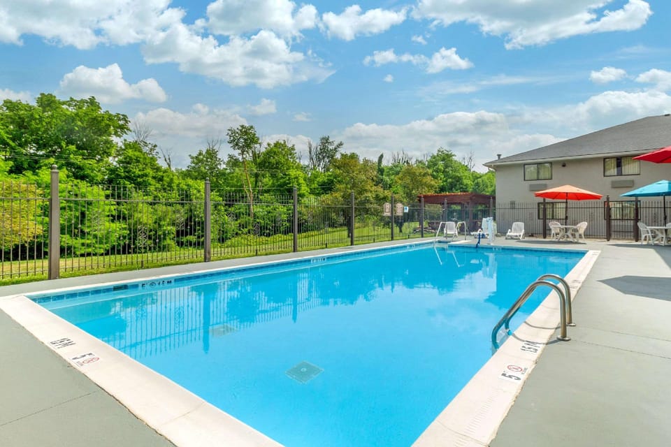 Swimming pool [outdoor]