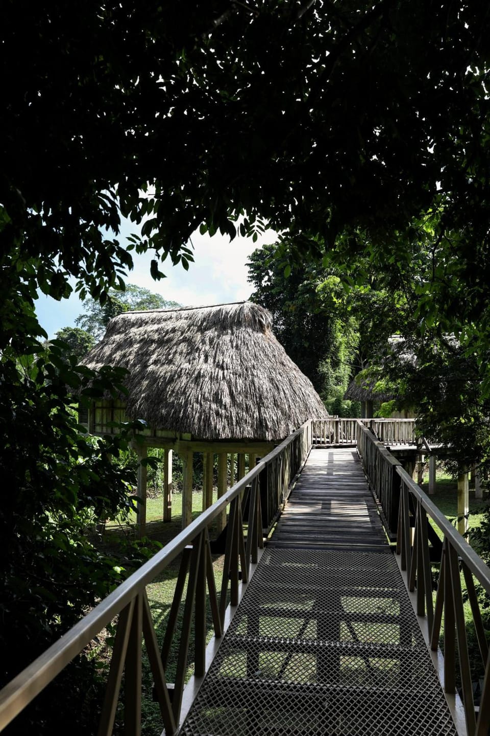 Jade Jungle Resort Resort in Cayo District