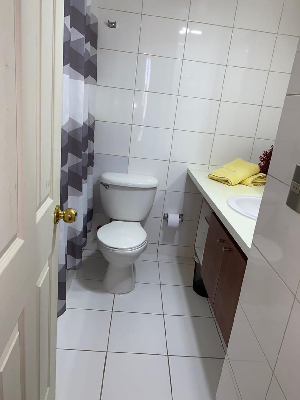 Central Suites Hotel in Santiago