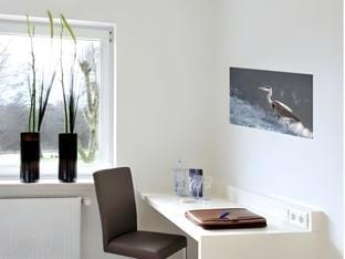 Hotel am Tiergarten Hotel in Gelderland, Netherlands