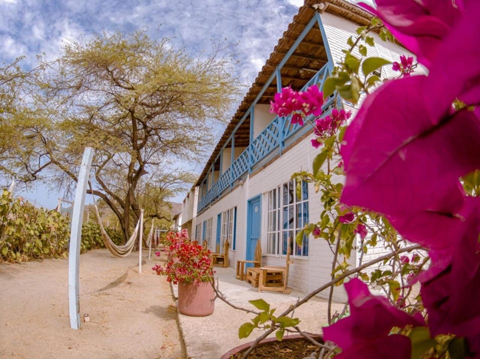Playa del Ritmo Beach Hostel & Bar Hostel in Magdalena, Colombia