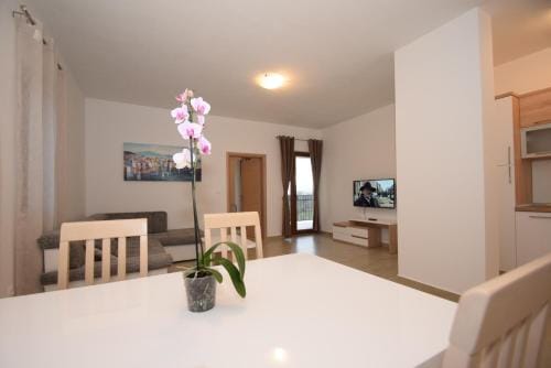 Apartments Paklenica Hotel in Zadar County