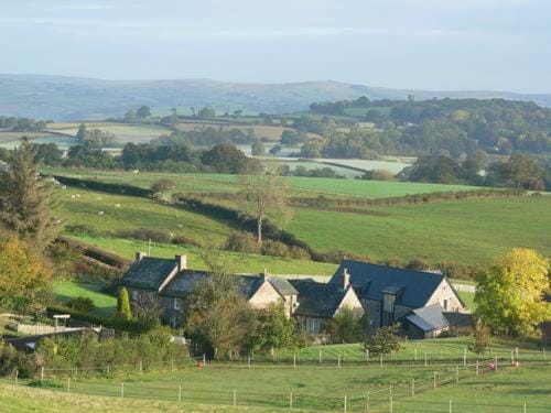 The Draen Bed and Breakfast Hotel in Wales