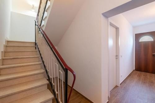 Toli's guest Hotel in Pisa