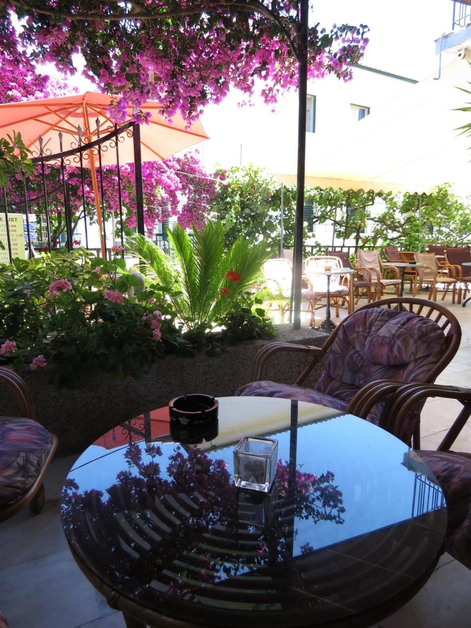 Harrys bar & apartments Apartment hotel in Corfu, Greece