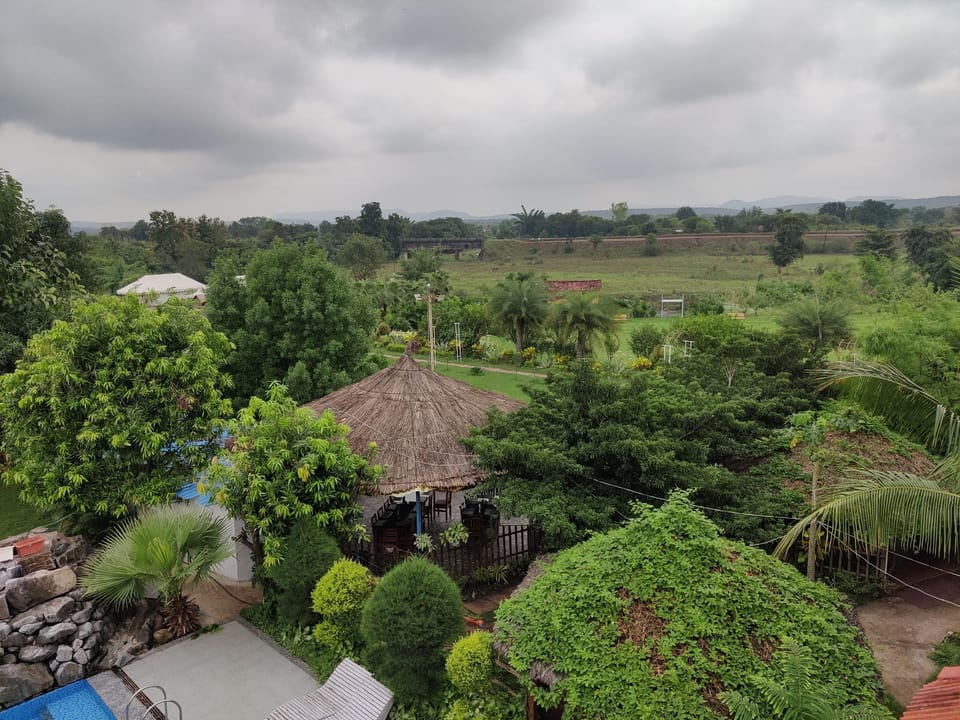 View