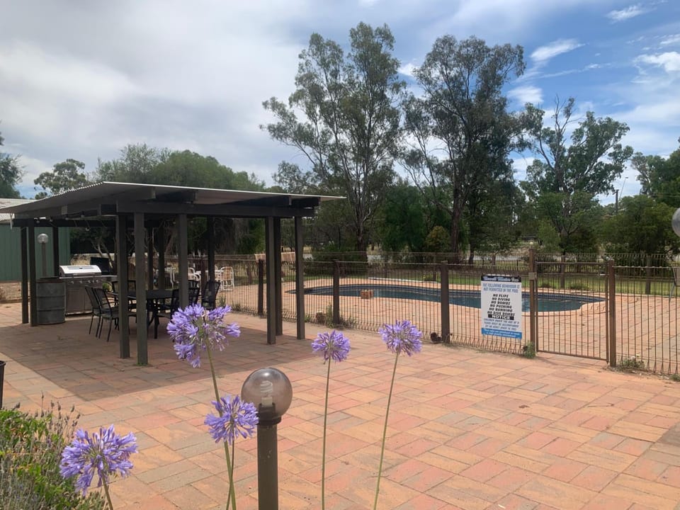 Newell Motor Inn Narrandera Motel in New South Wales