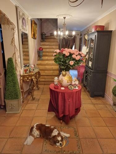 Chambre d'hote suite Tournesol "Au fond du jardin" Hotel in Vedène