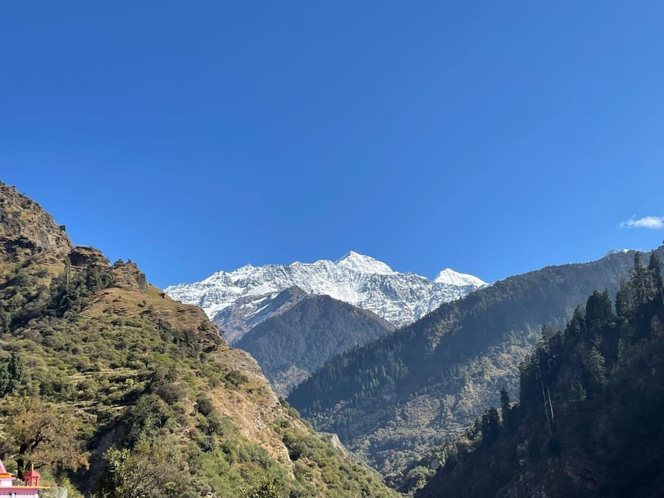View