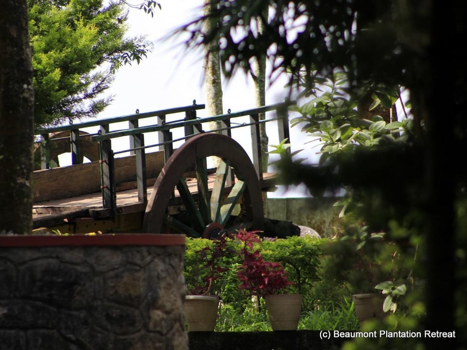 Beaumont Plantation Retreat Resort in Kerala