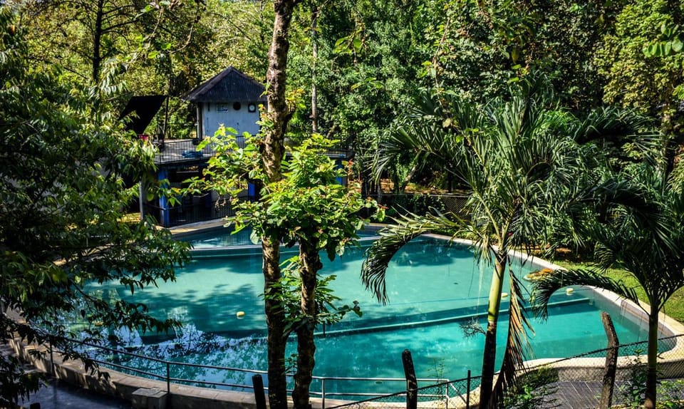 Swimming pool [outdoor]