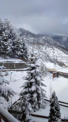 Surrounding environment