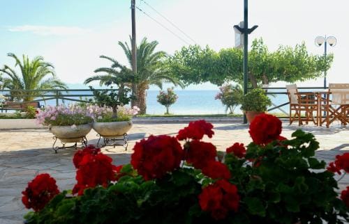 Lappas Rooms Hotel in Euboea
