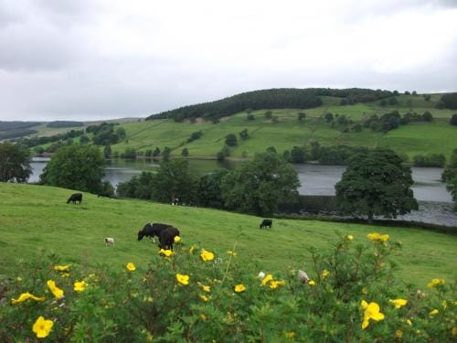 THE FIRS B&B &TEA ROOM Hotel in Borough of Harrogate