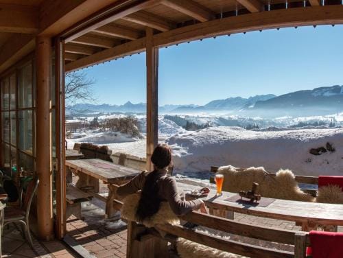 Almcafe Schnakenhohe Hotel in Tyrol