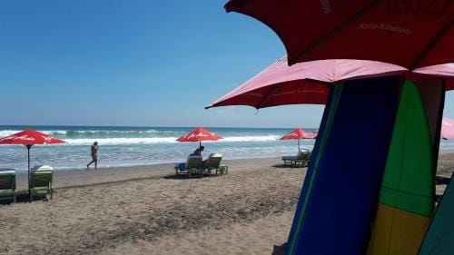 JS Guest House Hotel in Kuta