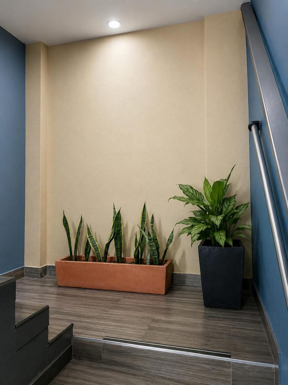 Facilities