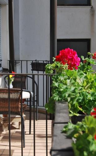 Vila Delfin Hotel in Ohrid