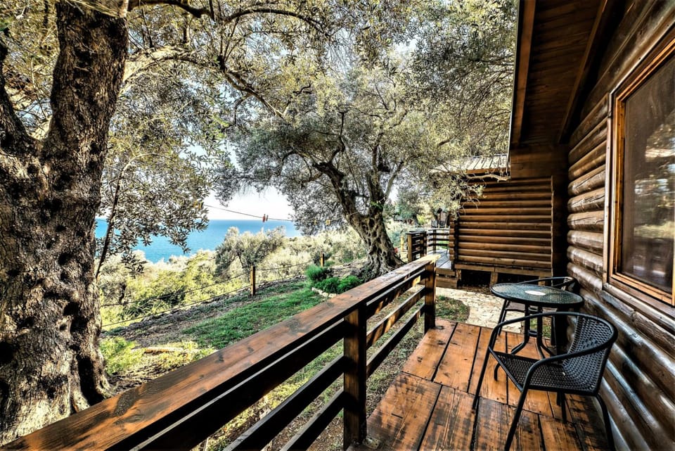 Holiday Park Olive Tree Hotel in Ulcinj