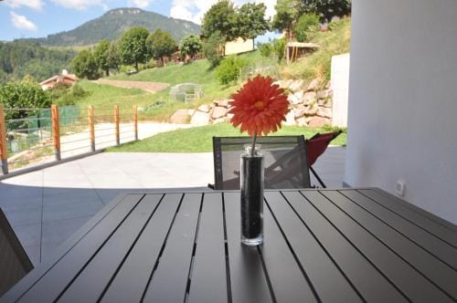 Abete rosso Hotel in Trentino-South Tyrol