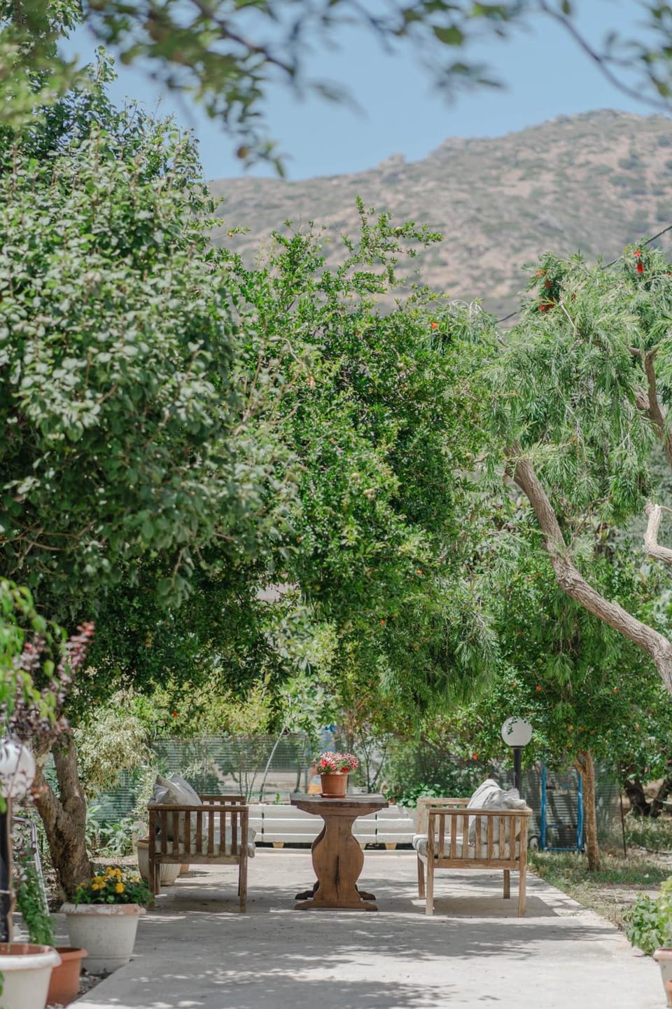 Manos Studios Hotel in Palaiochora