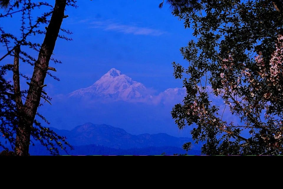 The Dharmas Resort Hotel in Uttarakhand