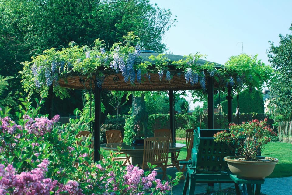 B&B Wisteria Hotel in Flanders