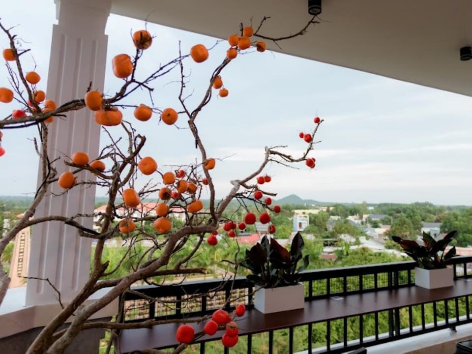 Sunny Hotel Vung Tau Hotel in Bình Thuận Province