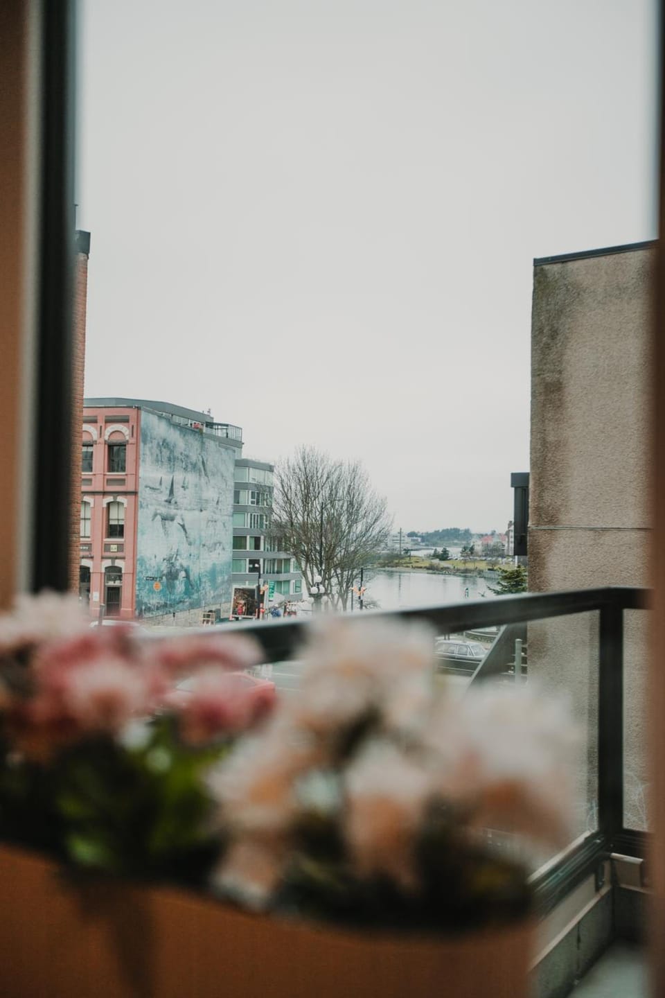 The Garden Room at Waddington Flats Hotel in Victoria