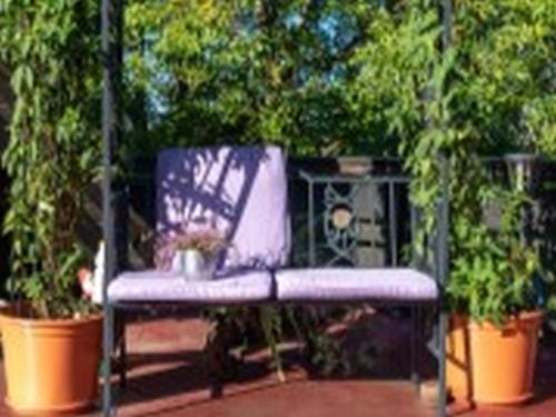 Pension Haus Monika Hotel in Ortenau