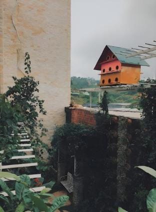 Da Lat Dream Flower hotel Hotel in Dalat