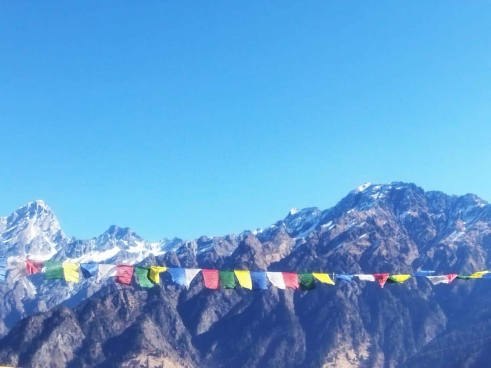View