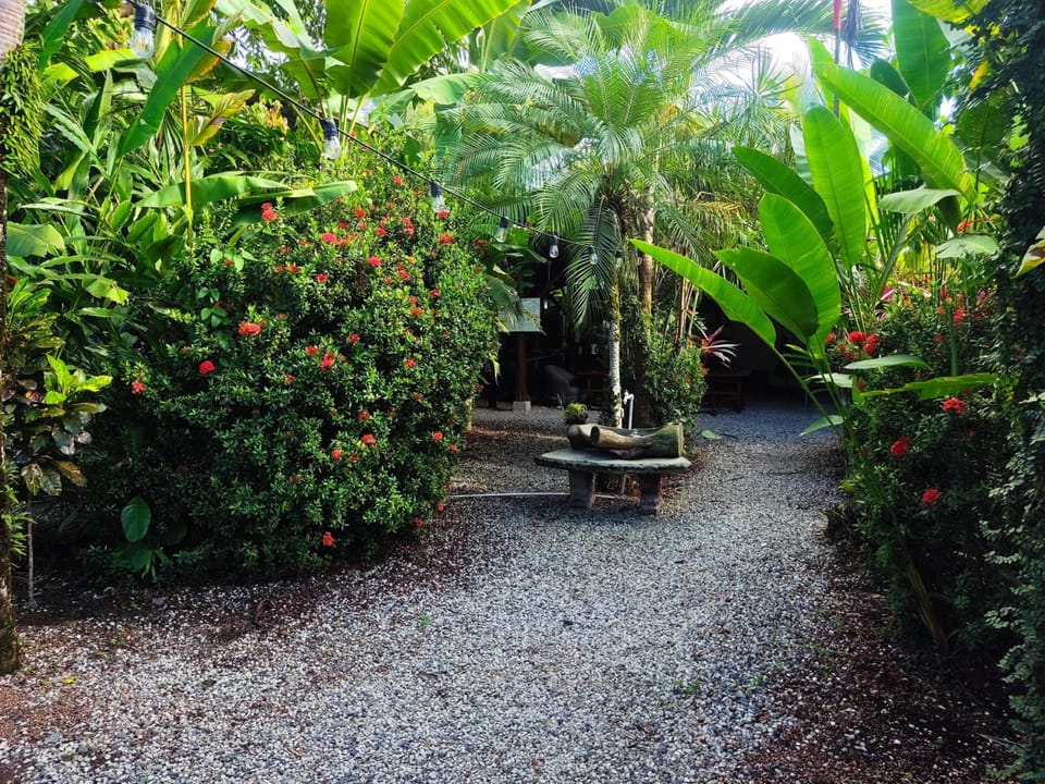 Cabinas Tropicales Hotel in Puntarenas Province