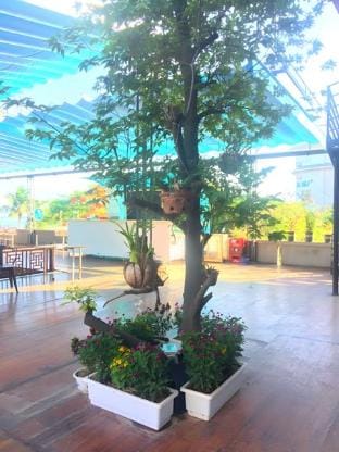 Bamboo Hotel & Apartment Apartment hotel in Vietnam