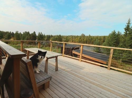 Cozy River Cabin Styled Loft Hotel in Norrbotten County, Sweden