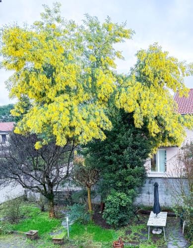 Villa Mimosa Hotel in Lombardy