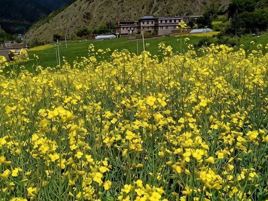 Gsanglam Homestay Hotel in Sichuan