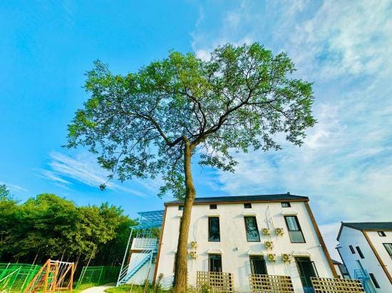 Wangyuan Hotel Hotel in Nanjing