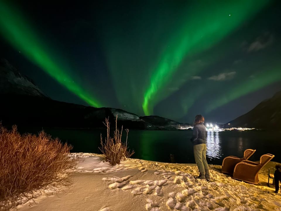 True Vesteralen Hotel Hotel in Nordland, Norway